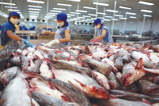 Kỳ vọng phục hồi tăng trưởng cá tra vào những tháng cuối năm 2020