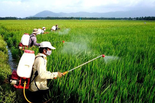 Ô nhiễm môi trường từ thuốc bảo vệ thực vật (Bài 1): Người dân lạm dụng trong sản xuất nông nghiệp