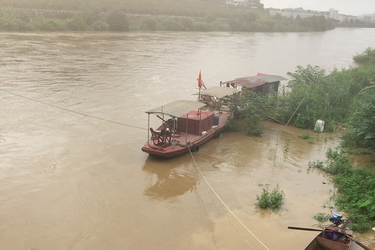 Lào Cai: Xuất hiện lũ lớn trên sông Hồng