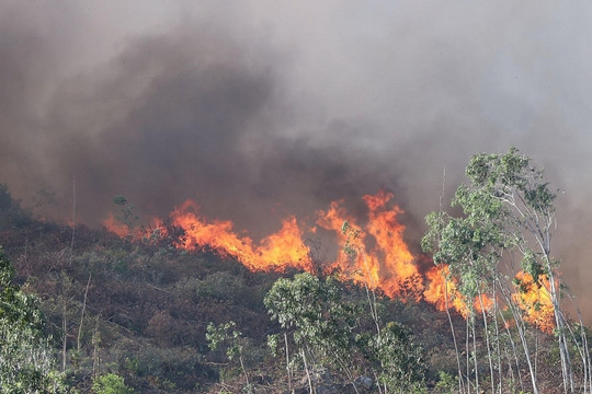 Đà Nẵng: Huy động hàng trăm người phối hợp chữa cháy rừng