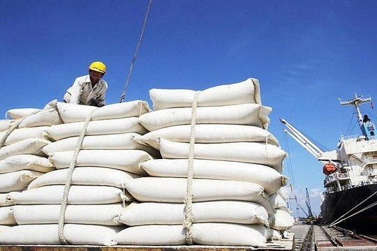 Việt Nam: Xuất khẩu gạo sang thị trường châu Phi tiếp tục tăng