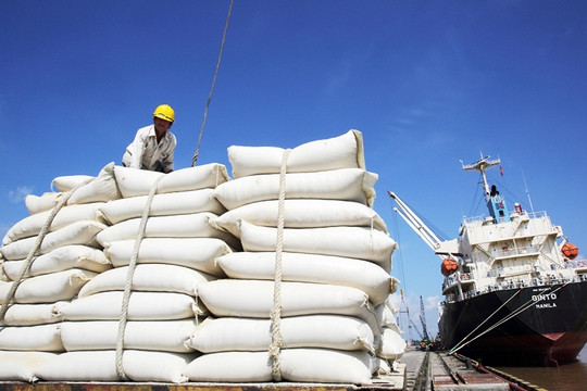 Giá gạo xuất khẩu của Việt Nam tiếp đà tăng, vượt Thái Lan