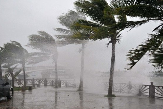 Còn bao nhiêu cơn bão “tấn công” nước ta trong năm nay?