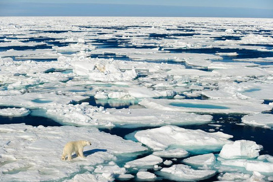 Băng Bắc Cực có nguy cơ bị xóa sổ vào mùa Hè 2035