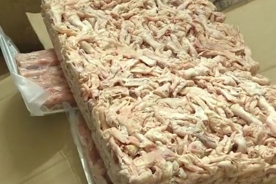 Phát hiện thu giữ hàng chục tấn nội tạng lợn bị nhiễm dịch tả lợn châu Phi tại Hải Phòng