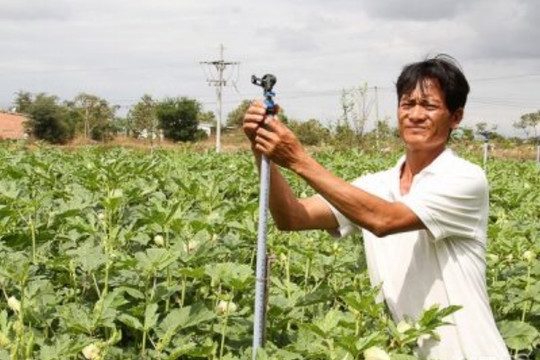 Ninh Thuận: Đẩy mạnh tưới tiên tiến tiết kiệm nước cho cây trồng cạn