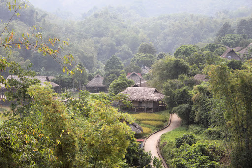 Đẩy mạnh trồng rừng gắn với chế biến, tiêu thụ sản phẩm ở Lạng Sơn