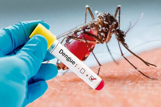 Bộ Y tế khuyến cáo cách phòng sốt xuất huyết hiệu quả