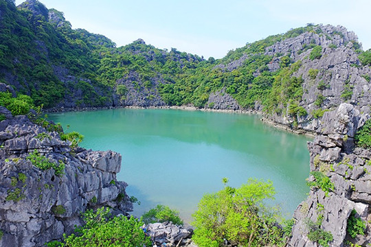 Quảng Ninh: Bảo tồn, phát huy giá trị Vườn quốc gia Bái Tử Long