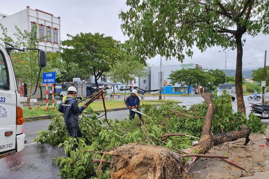 Đà Nẵng: Khẩn trương khắc phục sau ảnh hưởng của cơn bão số 5