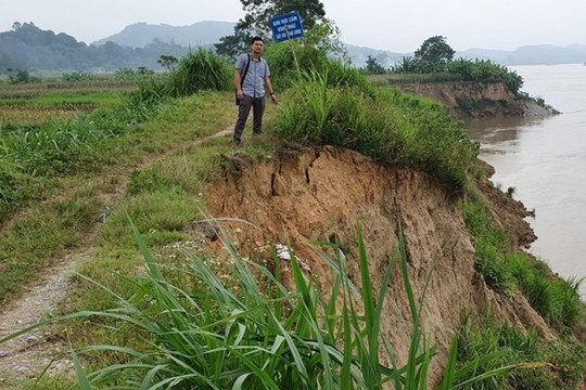 Tuyến đê sông Lô qua tỉnh Tuyên Quang  nguy cơ bị vỡ