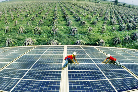 Năng lượng tái tạo (Bài 1): Xu thế không thể khác của Việt Nam