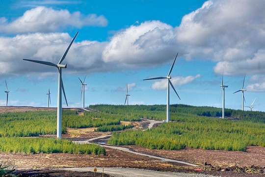 Quảng Bình: Đầu tư hơn 8.900 tỉ đồng xây dựng cụm trang trại điện gió