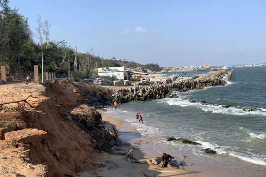 Bình Thuận báo động tình trạng xâm thực sạt lở bờ biển