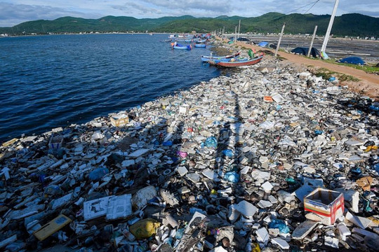 Ô nhiễm môi trường biển đe dọa nguồn lợi thủy sản