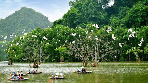 Việt Nam kêu gọi các quốc gia hành động bảo vệ đa dạng sinh học