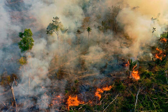 Brazil: Báo động tình trạng các vụ cháy rừng Amazon tăng mạnh