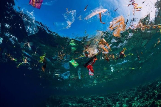 Hơn 14 triệu tấn rác thải nhựa nằm dưới đáy các đại dương