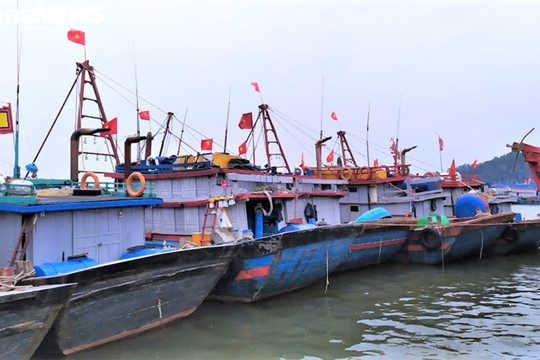 Thanh Hóa: Kêu gọi các phương tiện nghề cá vào bờ tránh bão số 7
