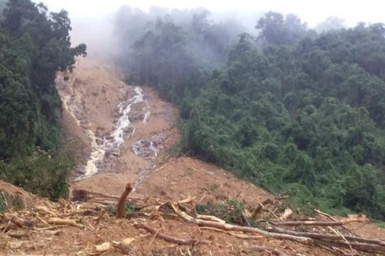 Sạt lở núi “san phẳng” trạm bảo vệ rừng Thác Voi tại Quảng Bình