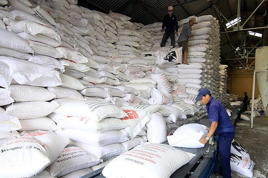 Đề xuất cấp bổ sung 6.500 tấn gạo cứu trợ cho 4 tỉnh miền Trung