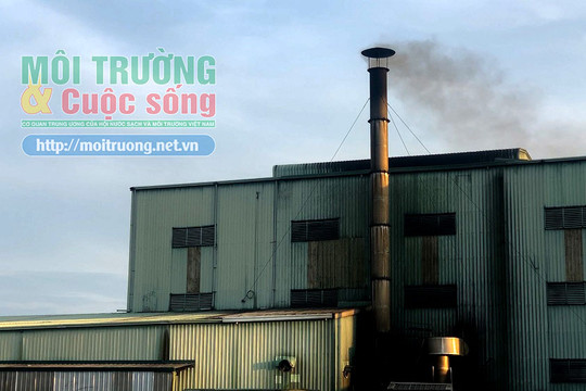 Hưng Yên: Người dân khốn khổ vì ô nhiễm từ Nhà máy sản xuất bánh gạo One One