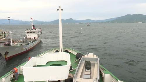 Vụ tàu cá Bình Định chìm trên đường trú bão: Đã cứu được 3 người trong số 26 ngư dân mất tích