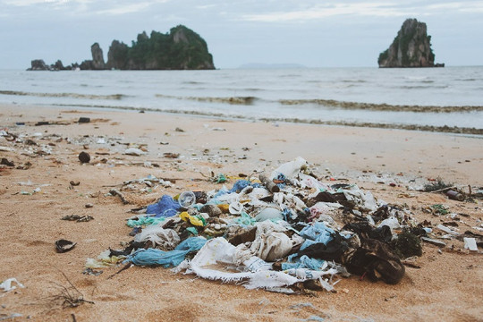Bình Thuận: Kết nối các nguồn lực giảm thiểu rác thải đại dương