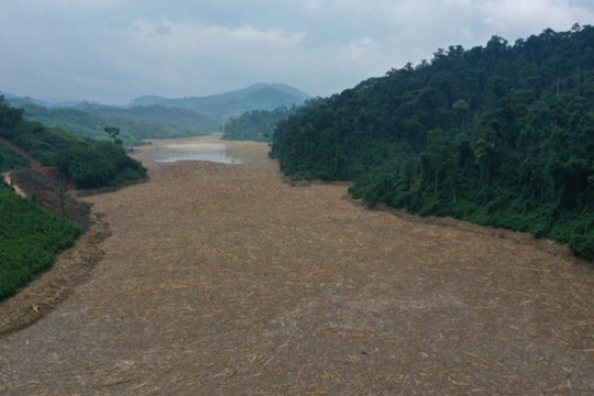 Quảng Nam: Xác gỗ lấp kín mặt nước hồ thủy điện sau lũ