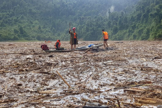 Hồ thủy điện ở Quảng Nam bị xác gỗ ken phủ kín mặt nước