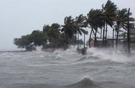 Ứng phó với áp thấp nhiệt đới có thể mạnh lên thành bão