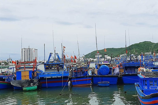 Phú Yên, Khánh Hòa cấm biển, sơ tán dân để ứng phó bão số 12