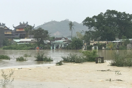Bình Định chưa xả lũ các hồ, hạ du ngập do mưa lớn ở thượng nguồn