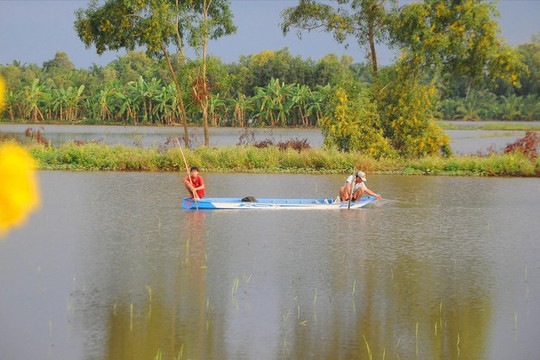 Nhiều thách thức cho nguồn nước Đồng bằng sông Cửu Long