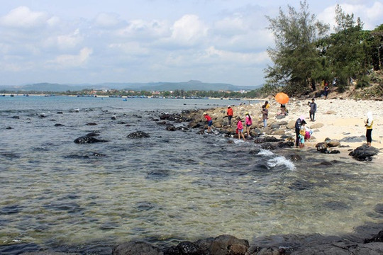 Phú Yên: Khởi động dự án bảo tồn quần thể rạn san hô Hòn Yến