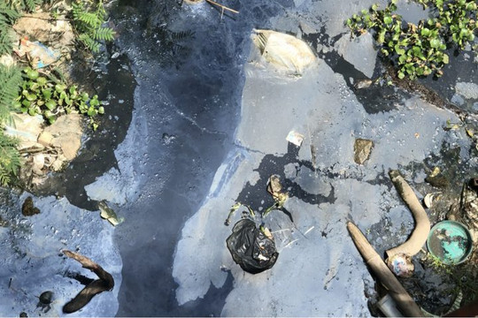 Bình Định: Cần sớm khắc phục trình trạng ô nhiễm sông Dinh