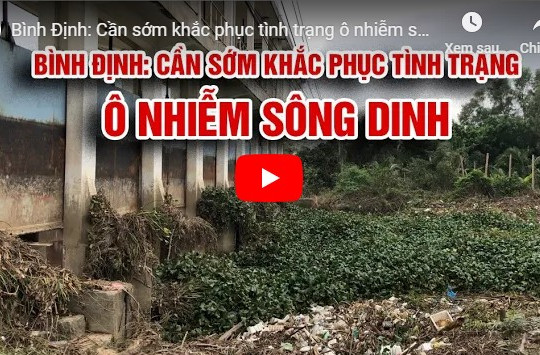 Bình Định: Cần sớm khắc phục tình trạng ô nhiễm sông Dinh