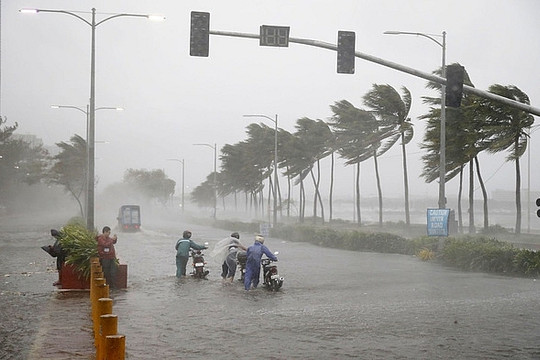 Còn bao nhiêu cơn bão “tấn công” nước ta từ nay đến cuối năm?