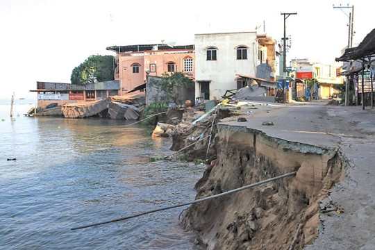 Biến đổi khí hậu: Một số nơi ở đồng bằng sông Cửu Long đang bị hạ thấp đến 2,5 cm/năm