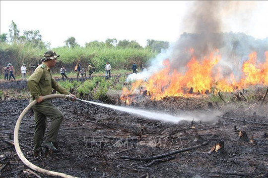 Kiên Giang: Tăng cường các biện pháp quản lý, bảo vệ và phòng cháy, chữa cháy rừng
