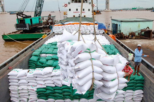 Giá gạo Việt Nam xuất khẩu tăng lên mức cao kỷ lục