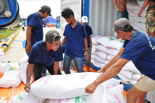 Chính phủ xuất cấp hơn 3.500 tấn gạo hỗ trợ tỉnh Quảng Bình, Quảng Ngãi