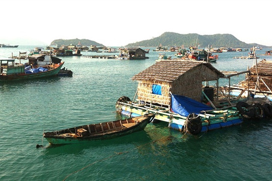 Kiên Giang: Sản lượng thủy sản vượt hơn 10% kế hoạch