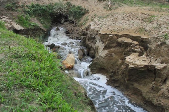 Lào Cai: Phạt nhà máy tinh bột sắn xả thải ra sông Hồng 255 triệu đồng