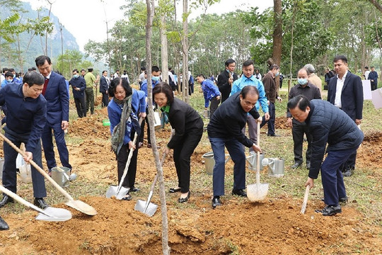 Thủ tướng kêu gọi chung sức, đồng lòng trồng mới 1 tỷ cây xanh và bảo vệ rừng