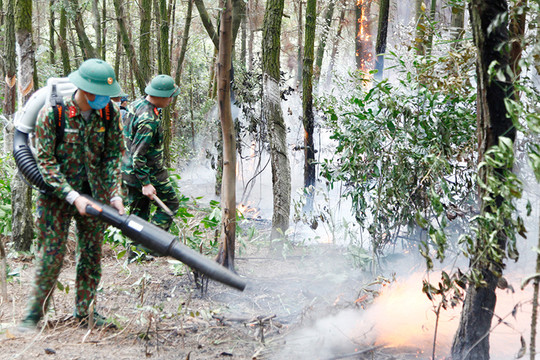 Quảng Ninh: Dập tắt đám cháy gần 4ha rừng thông