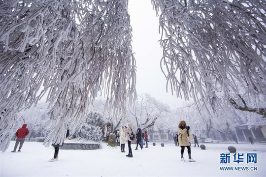 Trung Quốc: Đối mặt với ngày lạnh giá nhất trong vòng 20 năm trở lại đây