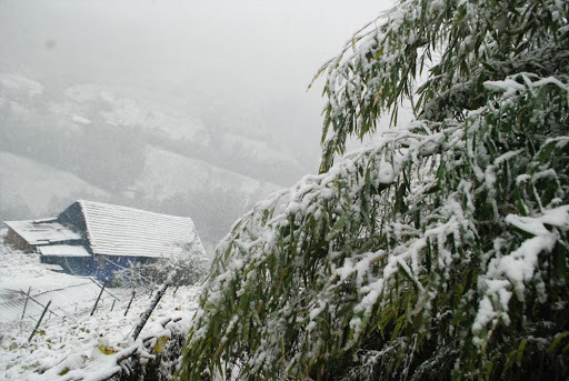 Dự báo thời tiết ngày 9/1: Bắc Bộ rét hại, vùng núi cao mưa tuyết và băng giá