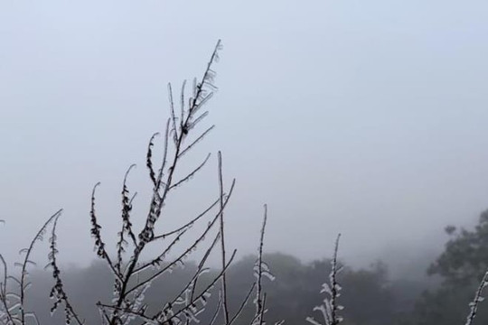 Bắc Bộ rét lạnh cường độ mạnh, đỉnh Mẫu Sơn xuống -1,4 độ C