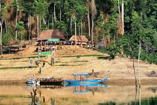 Quảng Nam: Đánh sập các hầm vàng trong phạm vi Vườn quốc gia Sông Thanh